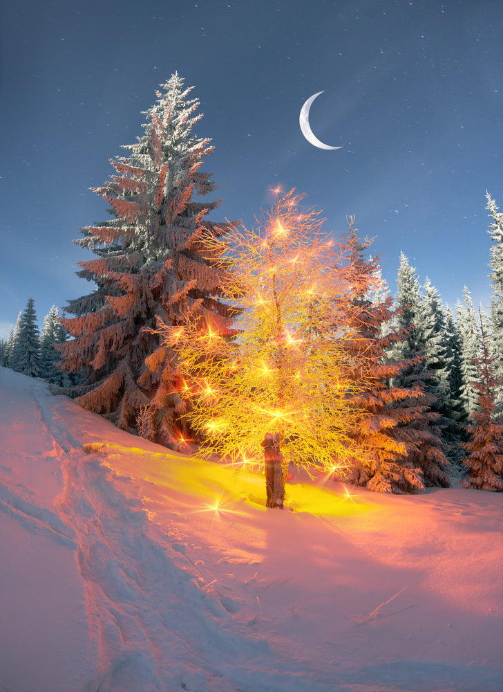 Winter Wonderland Starwick Candle Co