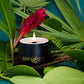 Tropical Fruits & Exotic Mountains - Wholesale Starwickcandleco